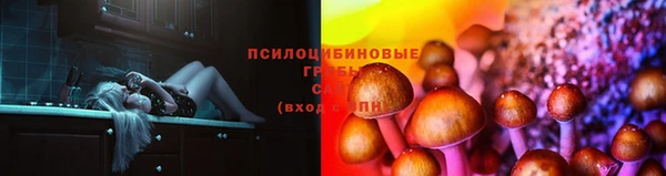 spice Алексеевка