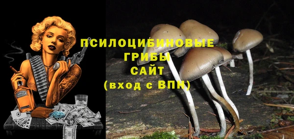 spice Абдулино