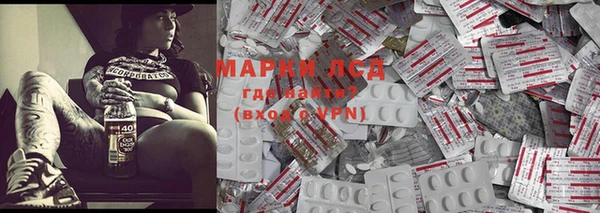 ПСИЛОЦИБИНОВЫЕ ГРИБЫ Алексин