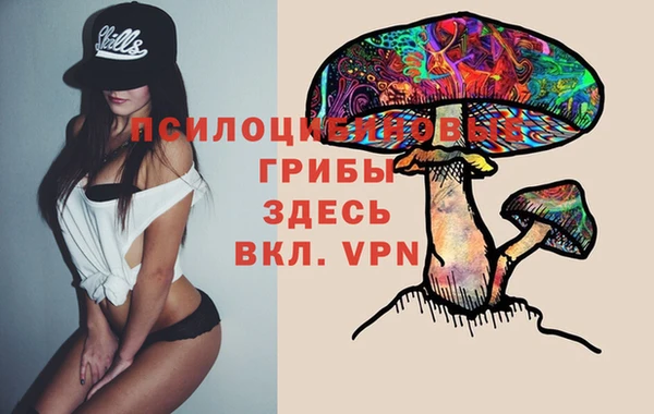 spice Алексеевка